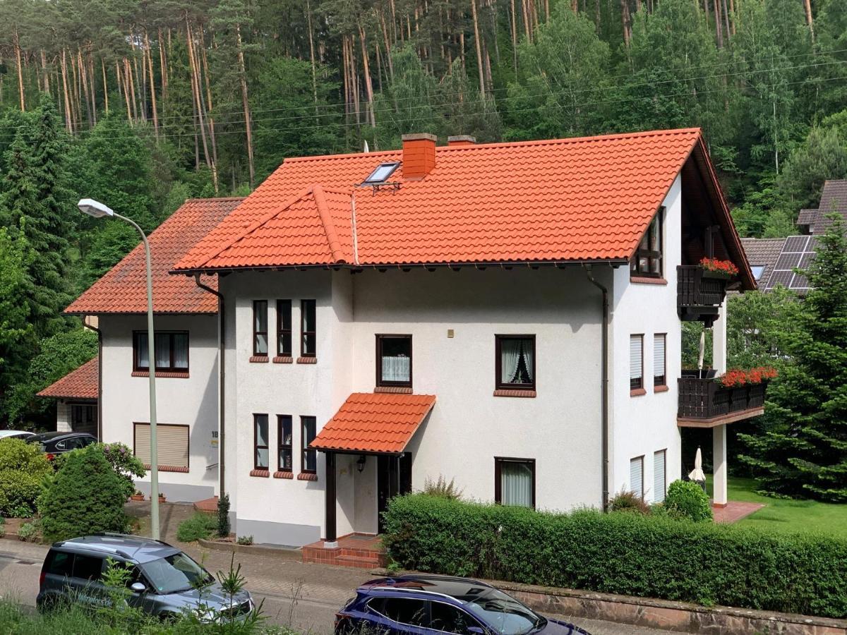 Ferienwohnungen Im Herzen Des Pfaelzerwaldes Elmstein Екстер'єр фото