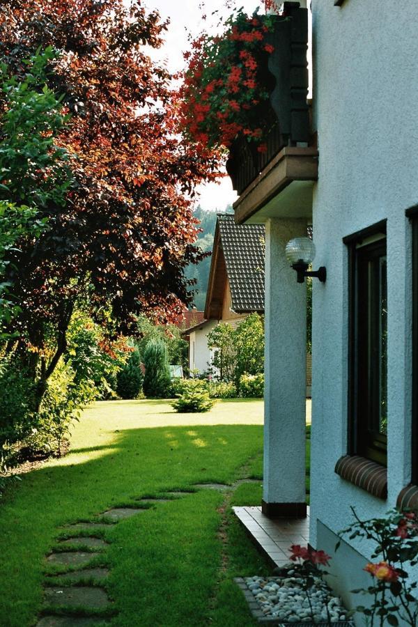 Ferienwohnungen Im Herzen Des Pfaelzerwaldes Elmstein Екстер'єр фото