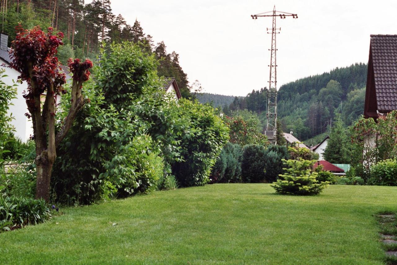 Ferienwohnungen Im Herzen Des Pfaelzerwaldes Elmstein Екстер'єр фото